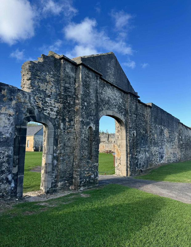 620 pixels placeholder image